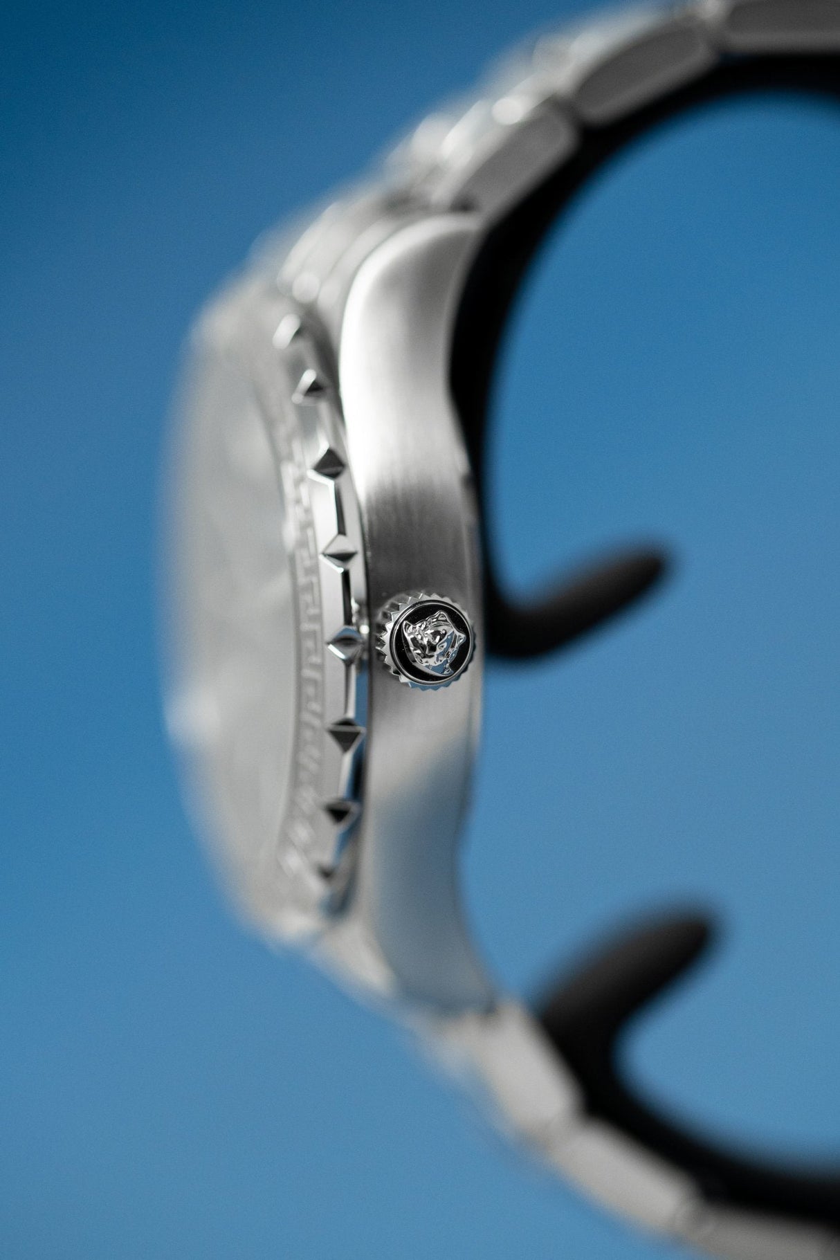 Versace Hellenyium Black - Watches & Crystals