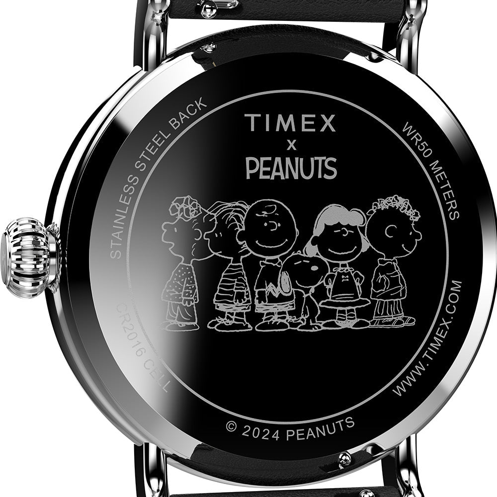 Timex Peanuts Waterbury Standard Men's Silver Watch