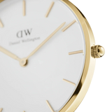 Daniel Wellington Petite Evergold Ladies Watch DW00100346